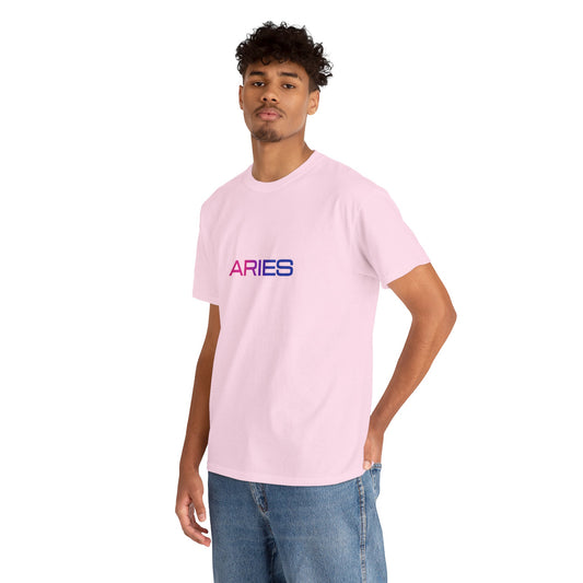 Aries Zodiac Heavy Cotton Tee | Unisex Astrology Shirt, Bi Flag, Text Only