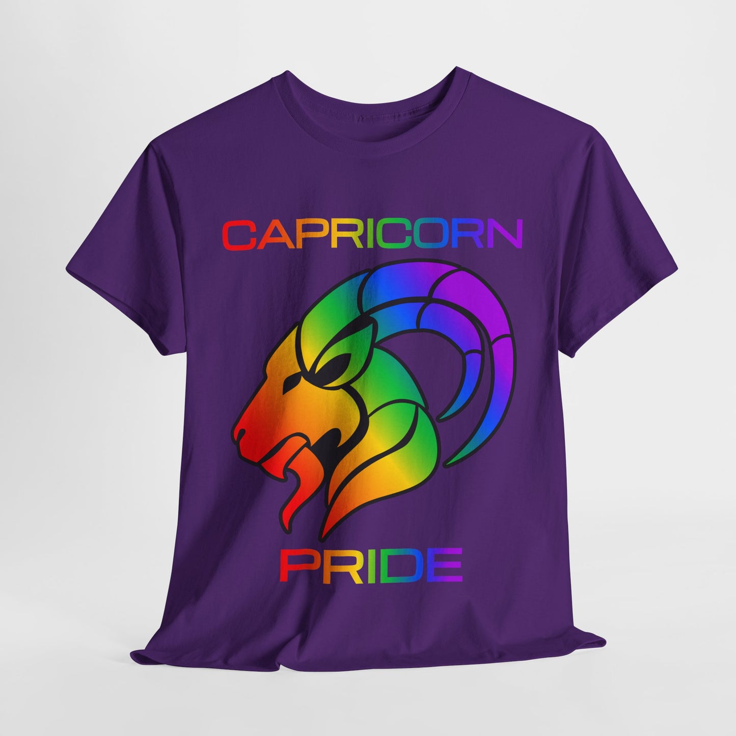 Capricorn Zodiac Heavy Cotton Tee | Unisex Astrology Shirt, Classic Rainbow, Image with Text